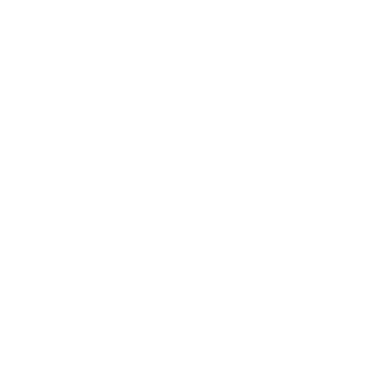 page.companyAboutUsPage.technology.physicalAI.title